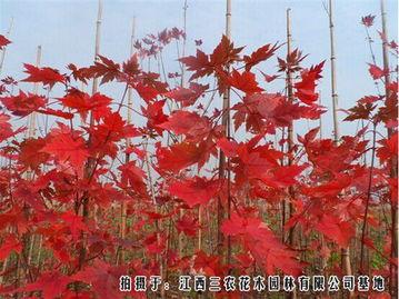 秋精品,收获的季节，品味生活的艺术